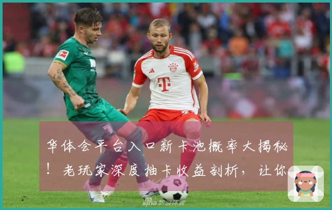 华体会平台入口新卡池概率大揭秘！老玩家深度抽卡收益剖析，让你不再当冤大头！